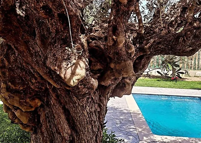 Olive Sense Villa