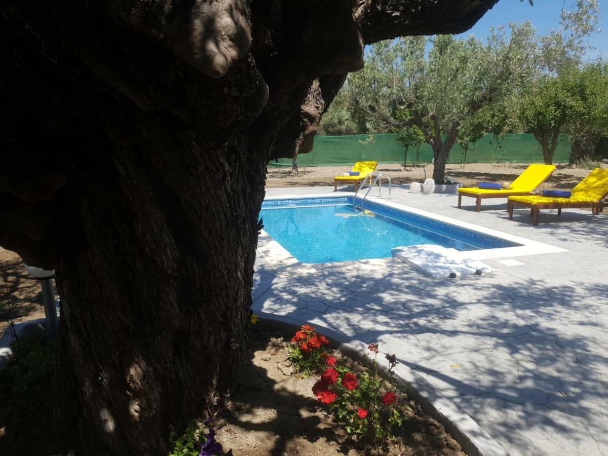 Olive Sense Villa *