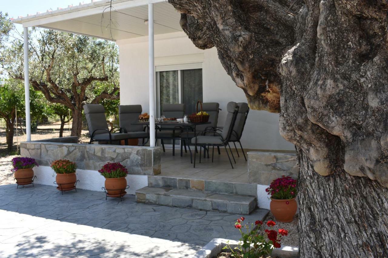 Villa Olive Sense Afantou